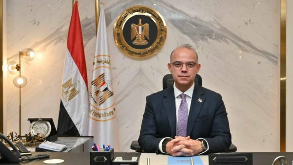 وزير الاستثمار: طرح 